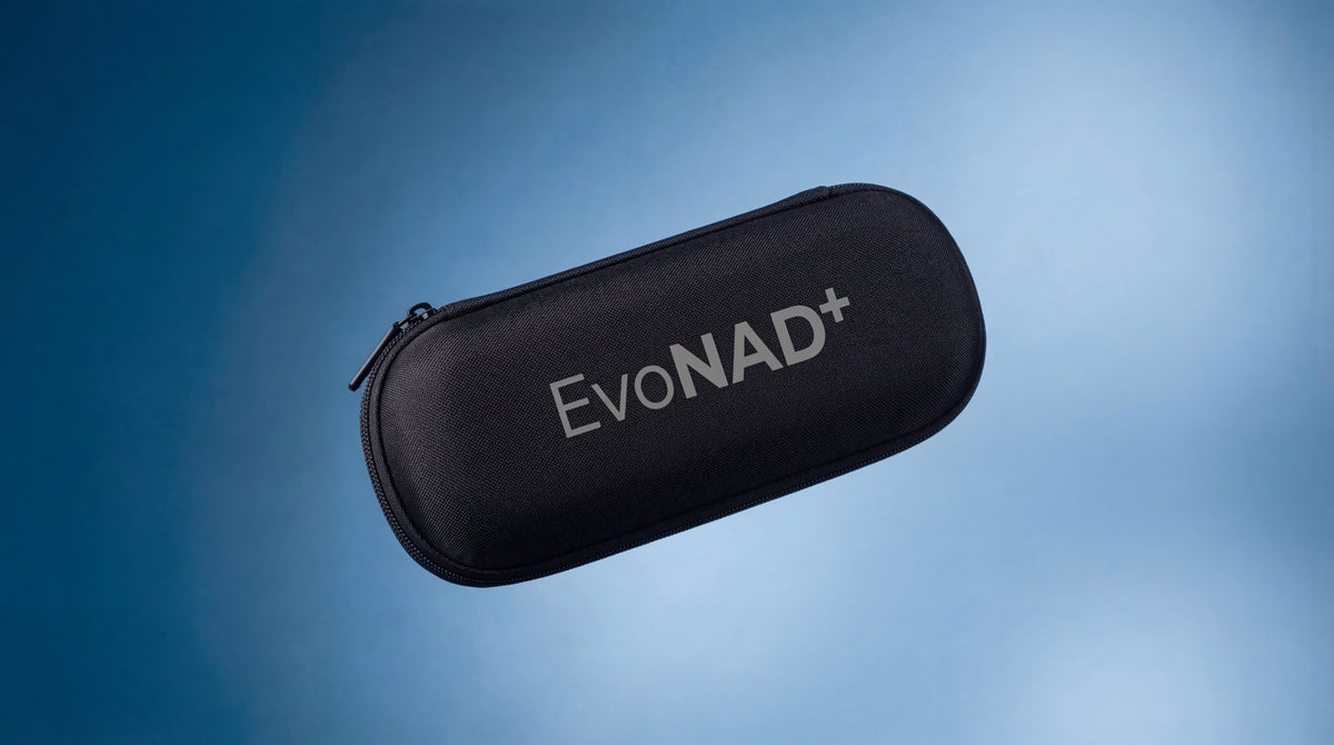 1x travel bag